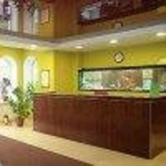 Гостиница Чайка Ижевск-10